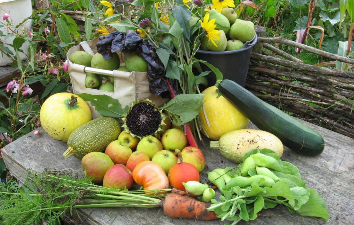 permatuin oogsst 2016 008